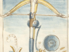Bellifortis_Ms.germ.qu.15_Armbrust_00