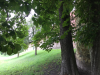 Beeskow_2_ - 100