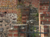 Beeskow_2_ - 119