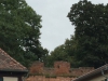 Mauerkrone mit Wehrgang Tangermuende
