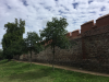 Beeskow_2_ - 154