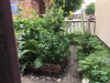 Beeskow_2_ - 31