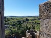 Carcassonne_52