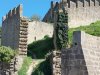 Carcassonne_80