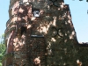 Freyenstein_Altes_Schloss_10