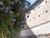 Granada_202