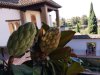 Granada_83