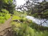 Island-Wald-09