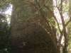 Luckau-1_ - 62