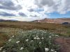 Namaskard-19