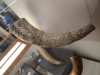Nationalmuseum_Reykjavik_19