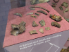 Ribe-VikingerMuseum_02