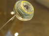 Ribe-VikingerMuseum_11