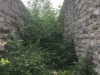 Hirschgraben-Stadtbefestigung_Schwaebisch_Hall_2017_ - 13