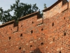 Wittstock_Stadtmauer_05